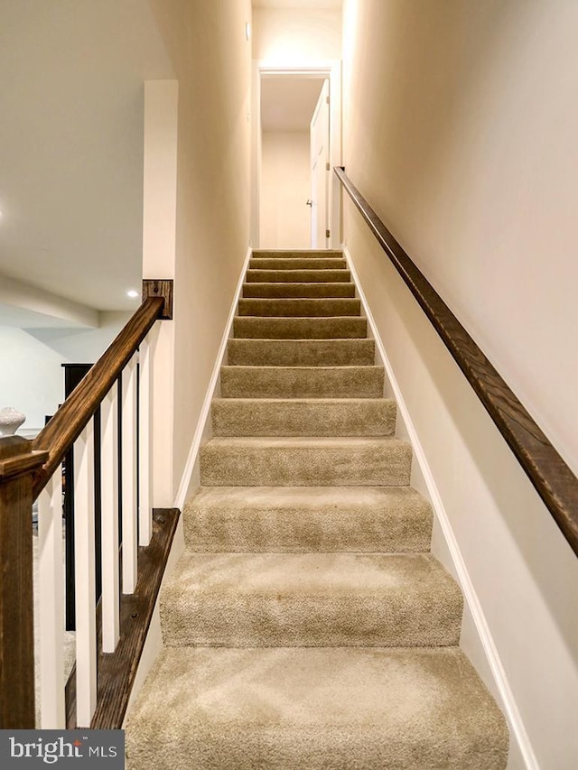 stairs featuring carpet floors