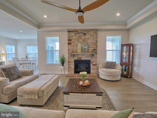 living room with a raised ceiling, healthy amount of natural light, crown molding, baseboards, and wood finished floors