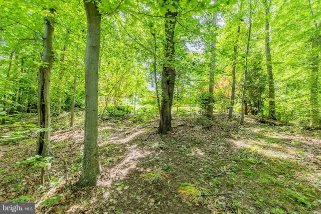 6300 Mallard Ln, Lothian, MD 20711 - view of wooded area