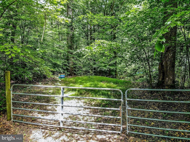 6300 Mallard Ln, Lothian, MD 20711 - view of gate