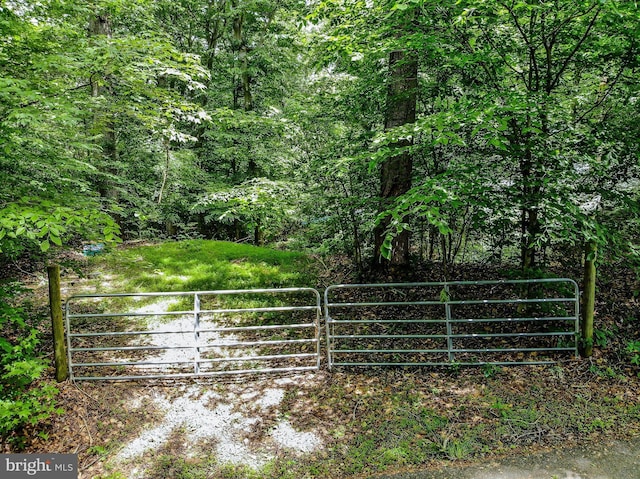 6300 Mallard Ln, Lothian, MD 20711 - view of gate