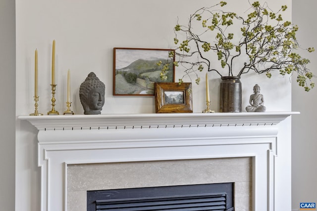 3080 Morewood Ln, Charlottesville, VA 22901 - detailed view of a fireplace
