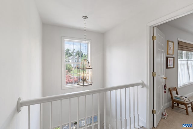 3080 Morewood Ln, Charlottesville, VA 22901 - corridor featuring carpet and a chandelier
