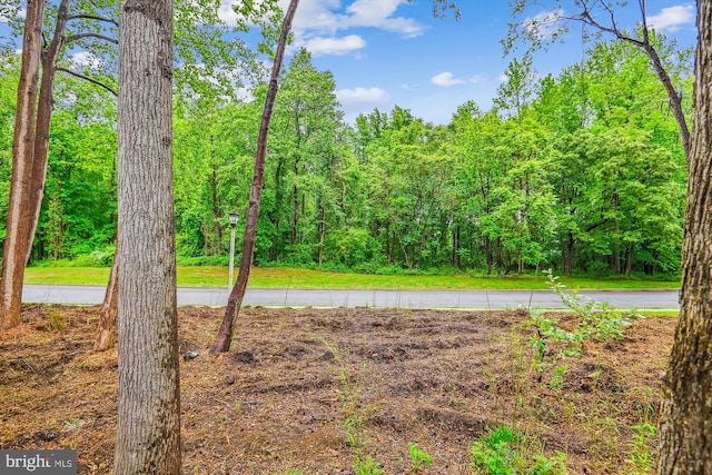 8 Ashford Ct, Annapolis, MD 21403 - view of yard featuring a view of trees