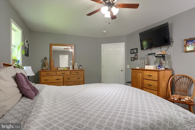 40 Blue Mountain Hts, Schuylkill Haven, PA 17972 - bedroom featuring a ceiling fan
