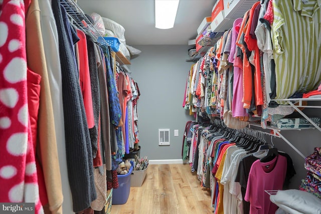 40 Blue Mountain Hts, Schuylkill Haven, PA 17972 - spacious closet with wood finished floors