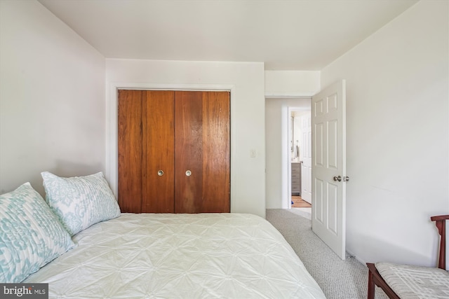 1650 Woodtree Ct E, Annapolis, MD 21409 - bedroom with a closet and carpet flooring