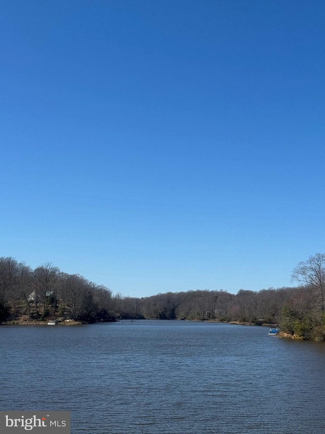 LOT58 Federalist Way, Montross, VA 22520 - water view featuring a forest
