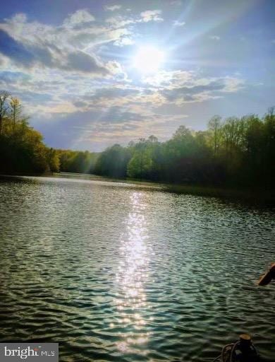 LOT58 Federalist Way, Montross, VA 22520 - water view with a forest