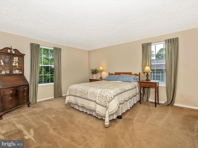 4310 Zircon Rd, Middletown, MD 21769 - carpeted bedroom featuring multiple windows and baseboards