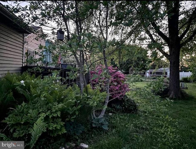 4310 Zircon Rd, Middletown, MD 21769 - view of green lawn