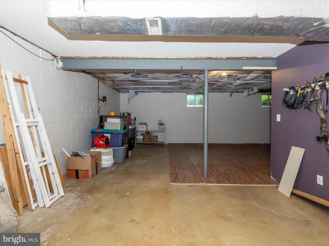 4310 Zircon Rd, Middletown, MD 21769 - below grade area with concrete block wall