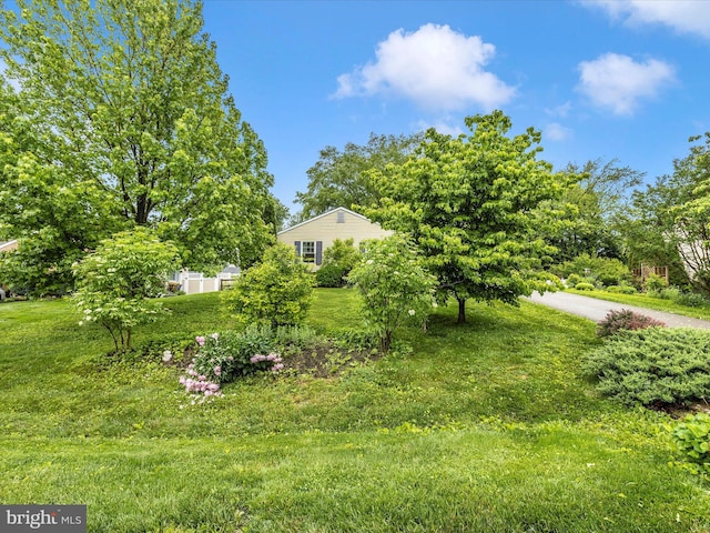 4310 Zircon Rd, Middletown, MD 21769 - view of yard