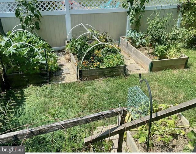 4310 Zircon Rd, Middletown, MD 21769 - view of yard with a vegetable garden