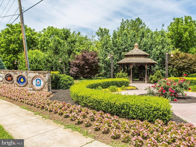 4310 Zircon Rd, Middletown, MD 21769 - surrounding community with a gazebo and view of wooded area