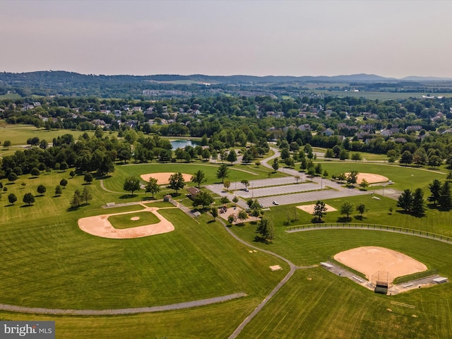 4310 Zircon Rd, Middletown, MD 21769 - bird's eye view