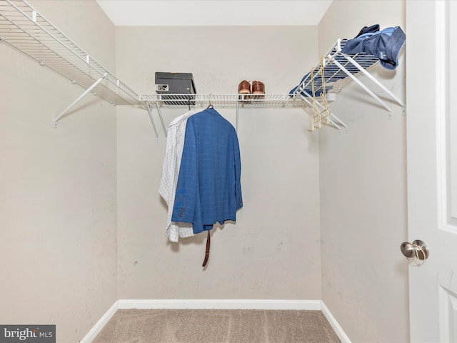 11044 Cross Fields Dr, Waynesboro, PA 17268 - walk in closet featuring carpet floors