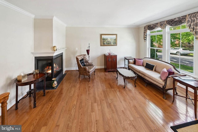 316 Parkview Ave, Gaithersburg, MD 20878 - living area with light wood-style flooring, a fireplace with flush hearth, crown molding, and baseboards