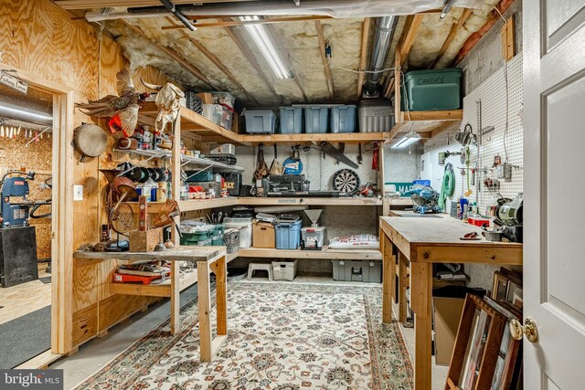 201 Ivystone Dr, Downingtown, PA 19335 - view of storage room