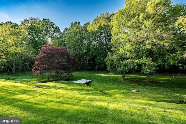 201 Ivystone Dr, Downingtown, PA 19335 - view of green lawn