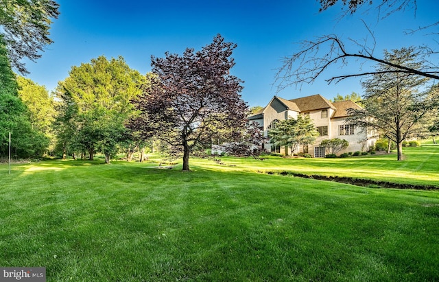 201 Ivystone Dr, Downingtown, PA 19335 - view of green lawn