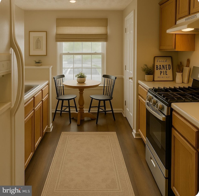 11002 Koman Cir, Manassas, VA 20109 - kitchen featuring stainless steel range with gas stovetop, under cabinet range hood, white refrigerator with ice dispenser, light countertops, and dark wood finished floors
