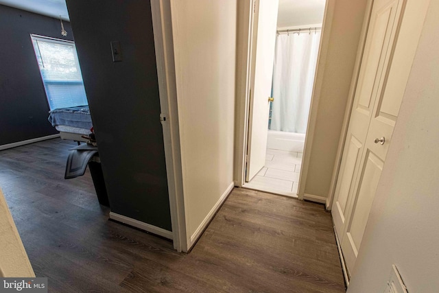 5 Canterbury Sq Unit 201, Alexandria, VA 22304 - hallway with dark wood-type flooring and baseboards
