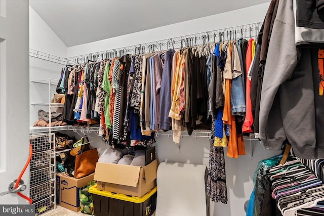 34602 Roxana Rd, Frankford, DE 19945 - walk in closet featuring lofted ceiling