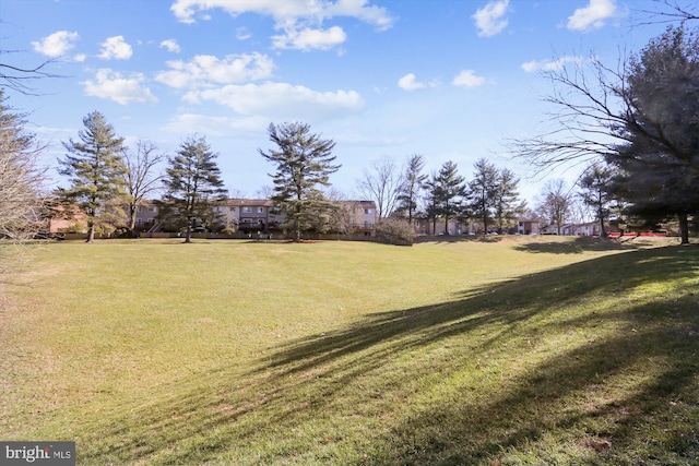 19439 Brassie Pl Unit 101, Gaithersburg, MD 20886 - view of grassy yard