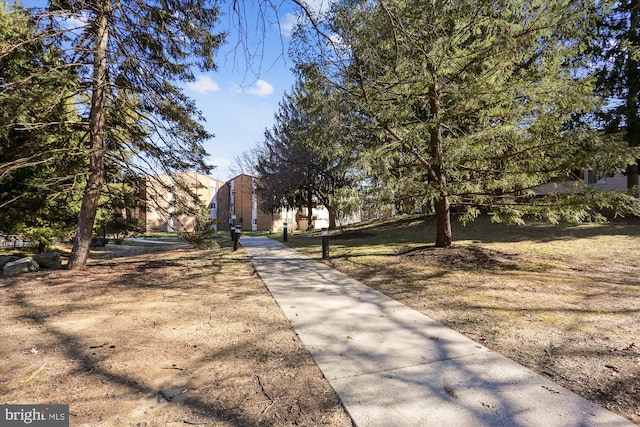 19439 Brassie Pl Unit 101, Gaithersburg, MD 20886 - view of street
