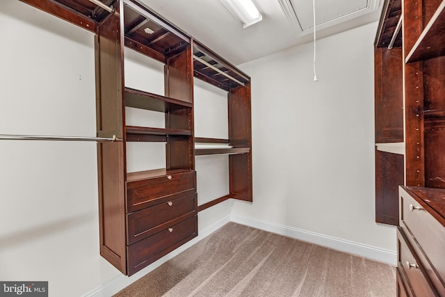 26635 Del Ibera Ct, Mechanicsville, MD 20659 - spacious closet featuring attic access and carpet flooring