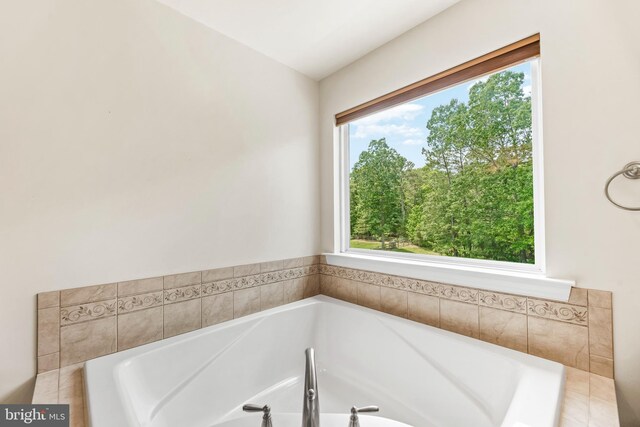 26635 Del Ibera Ct, Mechanicsville, MD 20659 - full bathroom featuring a garden tub