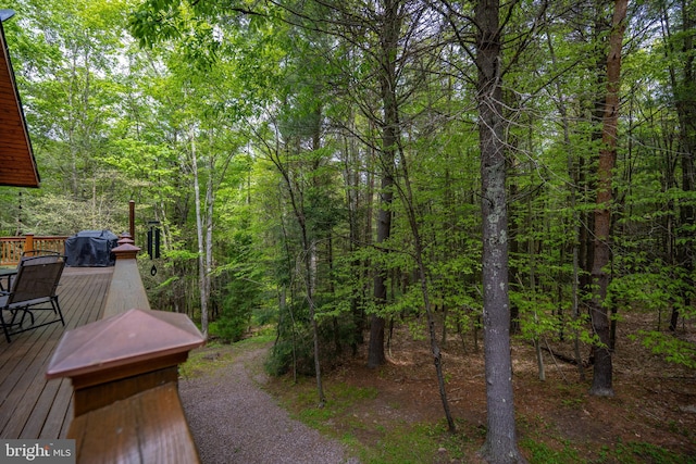 532 Pine Grove Rd, Lonaconing, MD 21539 - view of yard with a deck and a view of trees