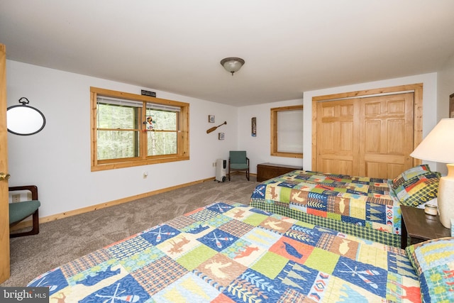 532 Pine Grove Rd, Lonaconing, MD 21539 - carpeted bedroom featuring baseboards and a closet