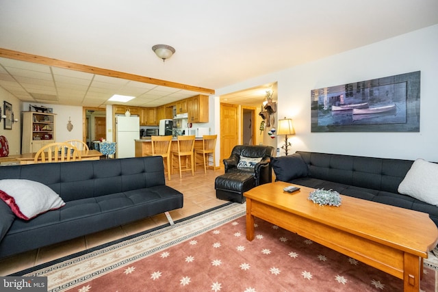 532 Pine Grove Rd, Lonaconing, MD 21539 - tiled living area featuring a paneled ceiling
