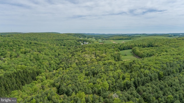 532 Pine Grove Rd, Lonaconing, MD 21539 - drone / aerial view of a forest