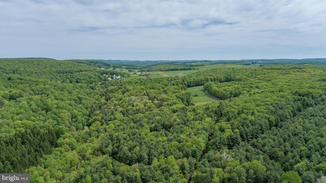 532 Pine Grove Rd, Lonaconing, MD 21539 - drone / aerial view of a heavily wooded area
