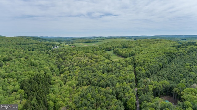 532 Pine Grove Rd, Lonaconing, MD 21539 - drone / aerial view of a heavily wooded area