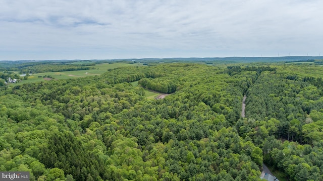 532 Pine Grove Rd, Lonaconing, MD 21539 - drone / aerial view of a forest