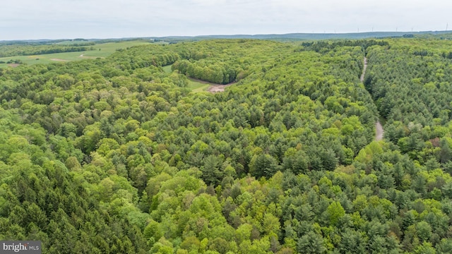 532 Pine Grove Rd, Lonaconing, MD 21539 - drone / aerial view of a heavily wooded area