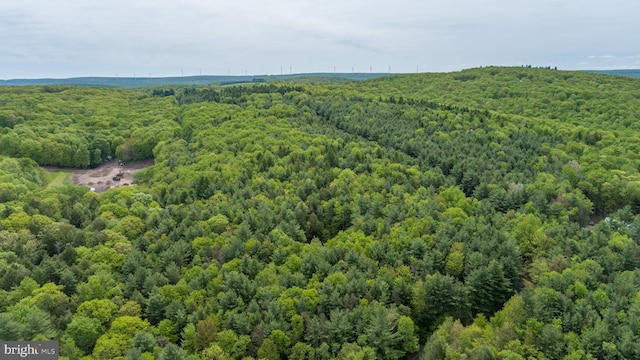 532 Pine Grove Rd, Lonaconing, MD 21539 - drone / aerial view of a heavily wooded area