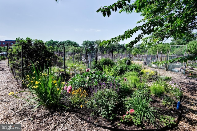 view of yard featuring a vegetable garden and fence
