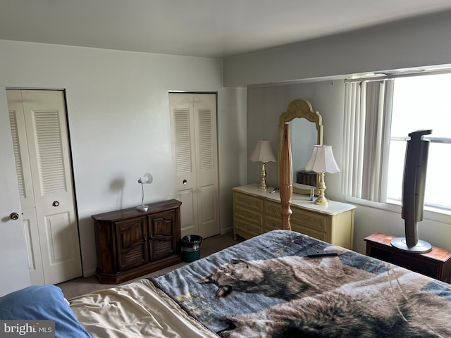 9 Dover Hall, Dover, DE 19904 - carpeted bedroom featuring two closets