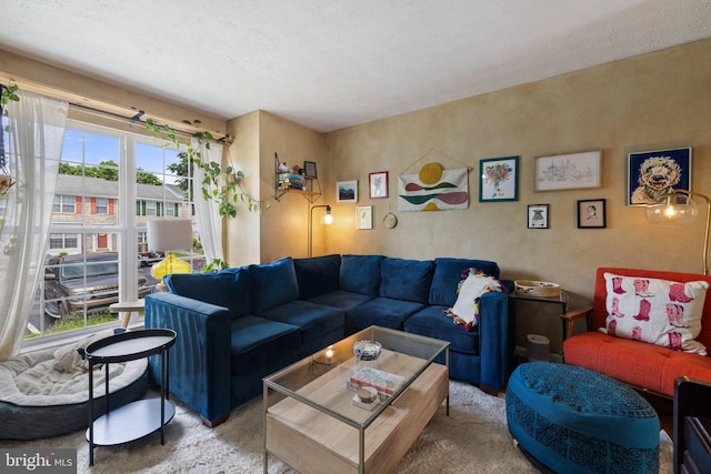 104 Braeburn Dr, Winchester, VA 22601 - carpeted living room featuring a textured ceiling