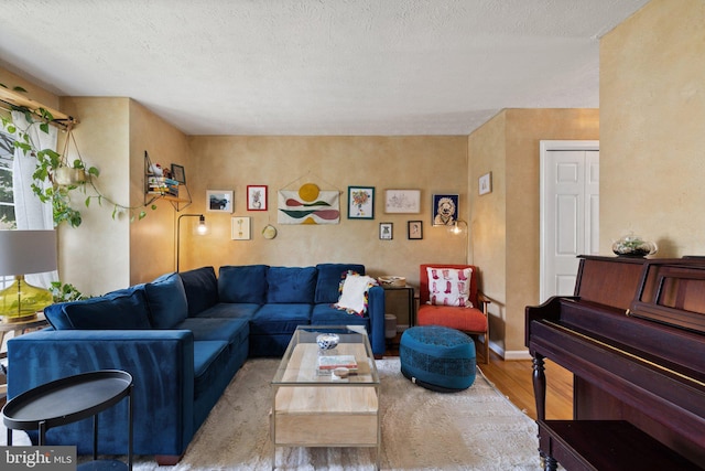 104 Braeburn Dr, Winchester, VA 22601 - living room featuring wood finished floors, a textured ceiling, and baseboards