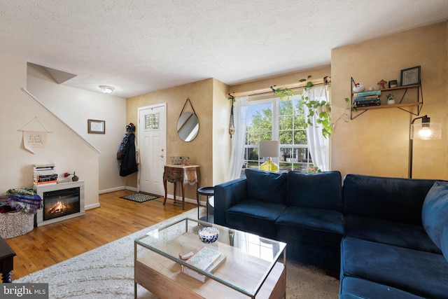 104 Braeburn Dr, Winchester, VA 22601 - living room with wood finished floors, a textured ceiling, baseboards, and a glass covered fireplace