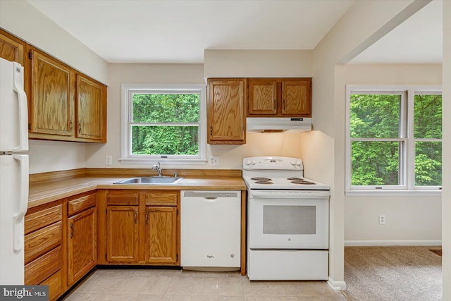 kitchen featuring white appliances, under cabinet range hood, a sink, and light countertops