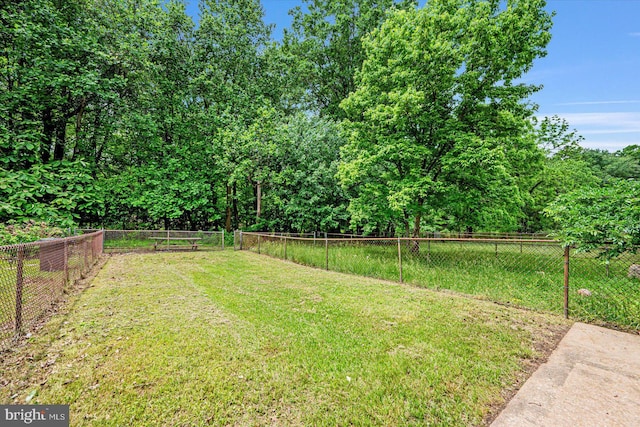 view of yard