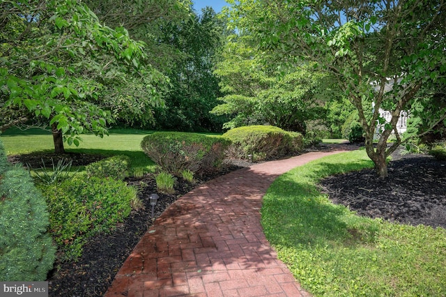 3516 Prospect Road, St, MD 21154 - surrounding community featuring a lawn