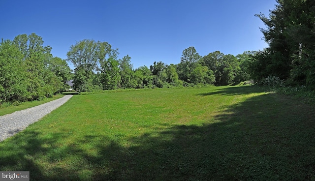 3516 Prospect Road, St, MD 21154 - view of grassy yard featuring a view of trees